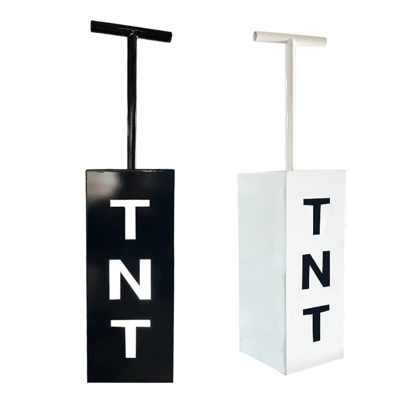 TNT Control Cannon Gender Reve - đánh giá và giá Confetti Cannon Tube